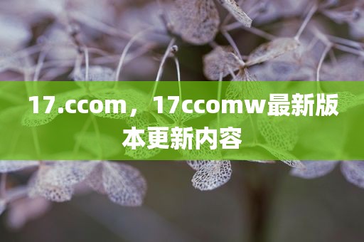 17.ccom，17ccomw最新版本更新内容
