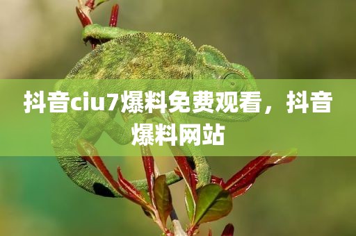 抖音ciu7爆料免费观看，抖音爆料网站
