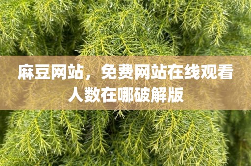 麻豆网站，免费网站在线观看人数在哪破解版