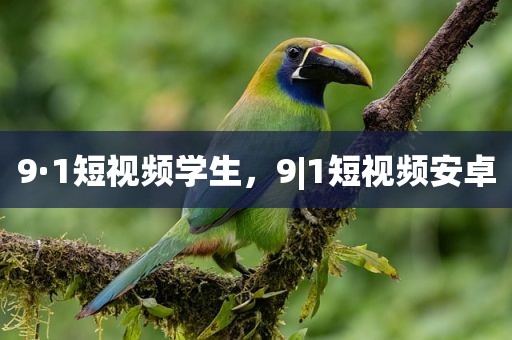 9·1短视频学生，9|1短视频安卓