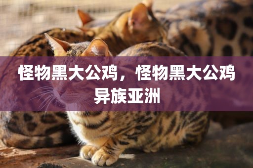 怪物黑大公鸡，怪物黑大公鸡异族亚洲