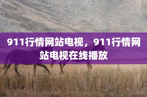 911行情网站电视，911行情网站电视在线播放