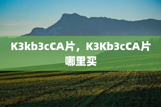 K3kb3cCA片，K3Kb3cCA片哪里买