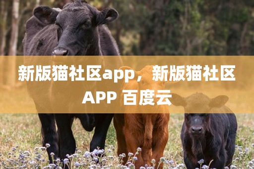 新版猫社区app，新版猫社区APP 百度云
