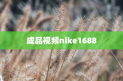 成品视频nike1688