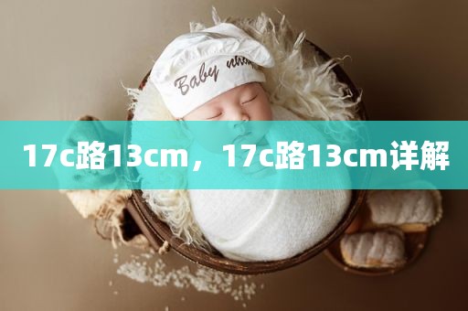17c路13cm，17c路13cm详解