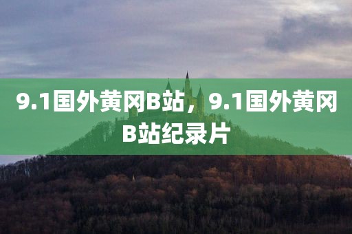 9.1国外黄冈B站，9.1国外黄冈B站纪录片