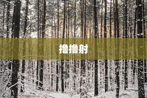 撸撸射