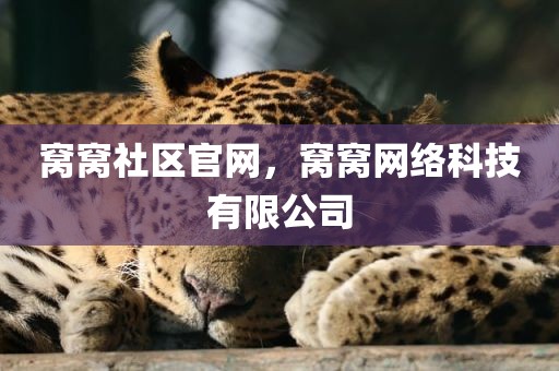 窝窝社区官网，窝窝网络科技有限公司