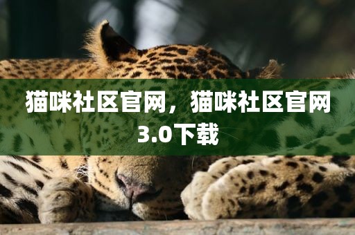 猫咪社区官网，猫咪社区官网3.0下载