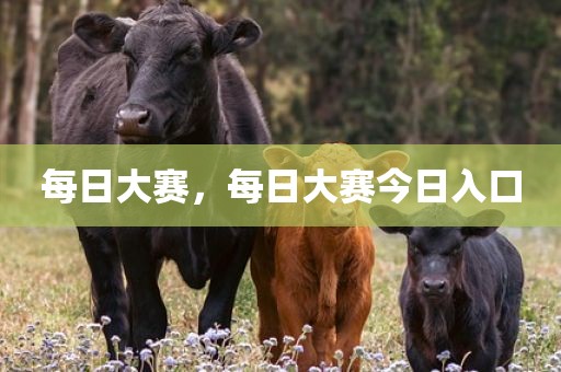 每日大赛，每日大赛今日入口