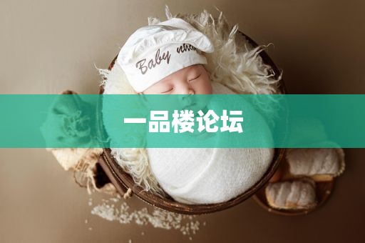 一品楼论坛