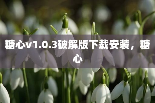 糖心v1.0.3破解版下载安装，糖心