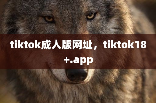 tiktok成人版网址，tiktok18+.app