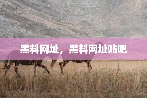 黑料网址，黑料网址贴吧