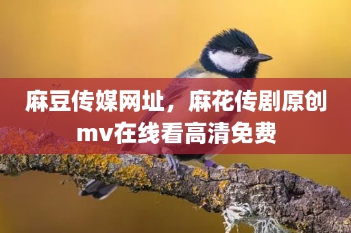麻豆传媒网址，麻花传剧原创mv在线看高清免费