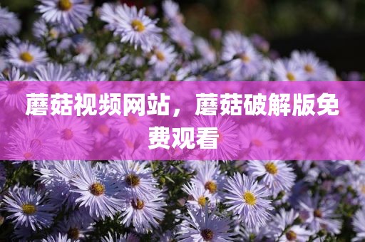 蘑菇视频网站，蘑菇破解版免费观看