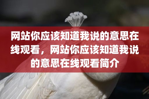 网站你应该知道我说的意思在线观看，网站你应该知道我说的意思在线观看简介