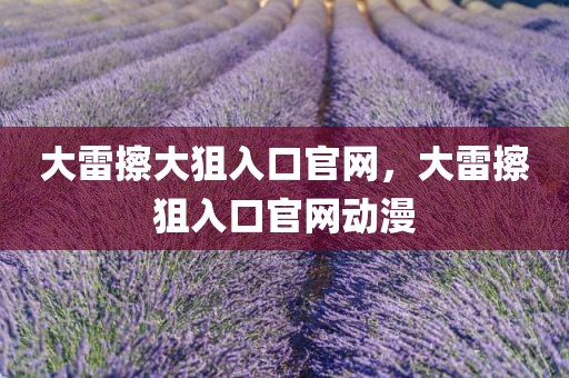 大雷擦大狙入口官网，大雷擦狙入口官网动漫