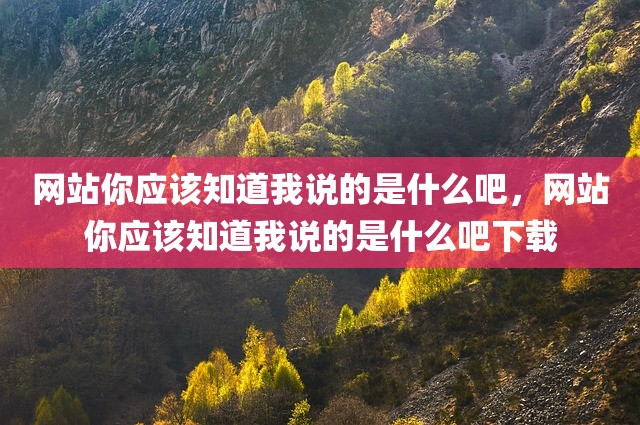 网站你应该知道我说的是什么吧，网站你应该知道我说的是什么吧下载