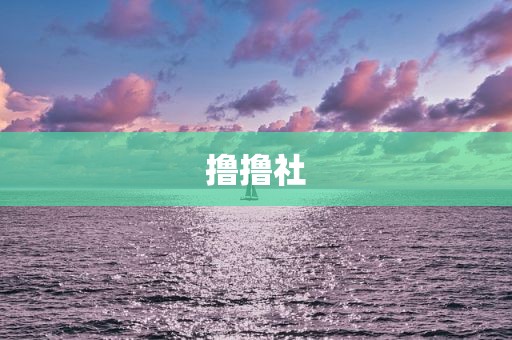 撸撸社