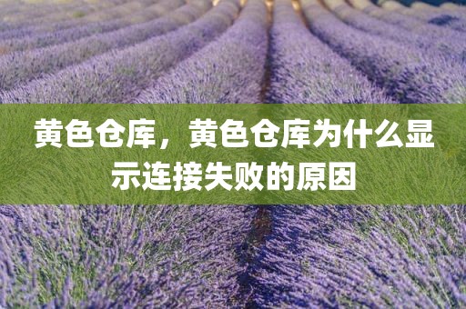 黄色仓库，黄色仓库为什么显示连接失败的原因
