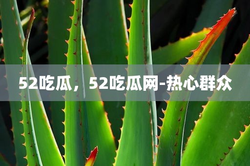 52吃瓜，52吃瓜网-热心群众