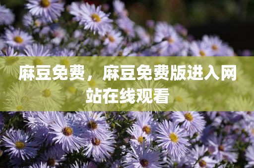 麻豆免费，麻豆免费版进入网站在线观看