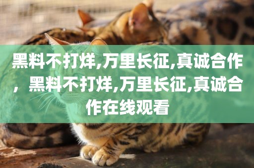黑料不打烊,万里长征,真诚合作，黑料不打烊,万里长征,真诚合作在线观看