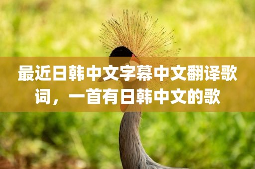 最近日韩中文字幕中文翻译歌词，一首有日韩中文的歌