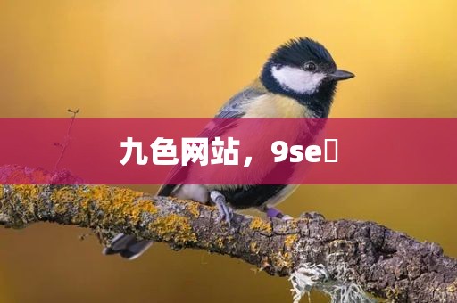 九色网站，9se 