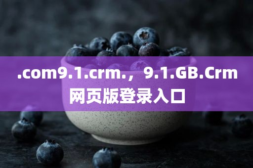 .com9.1.crm.，9.1.GB.Crm网页版登录入口