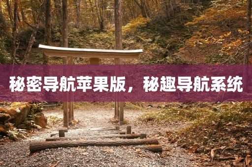 秘密导航苹果版，秘趣导航系统