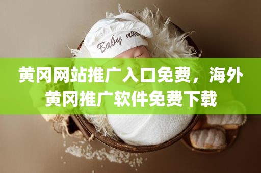 黄冈网站推广入口免费，海外黄冈推广软件免费下载
