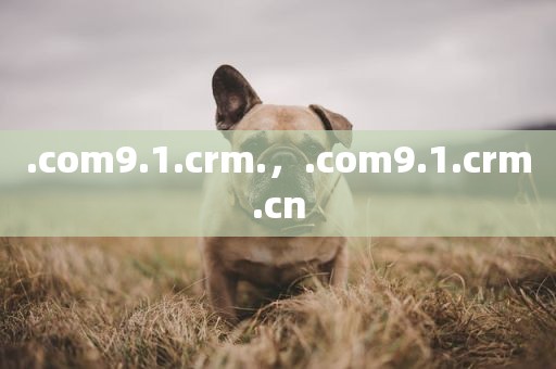 .com9.1.crm.，.com9.1.crm.cn