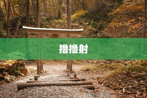 撸撸射