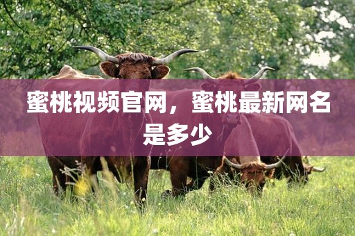 蜜桃视频官网，蜜桃最新网名是多少