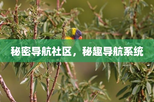 秘密导航社区，秘趣导航系统