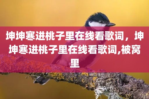 坤坤寒进桃子里在线看歌词，坤坤寒进桃子里在线看歌词,被窝里