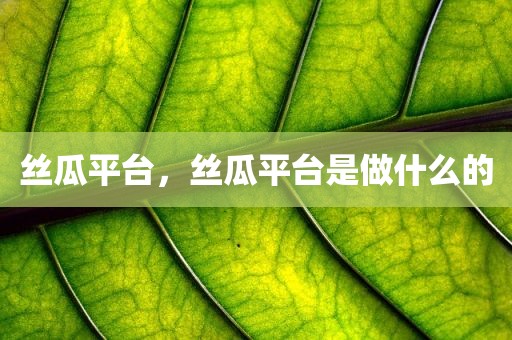 丝瓜平台，丝瓜平台是做什么的