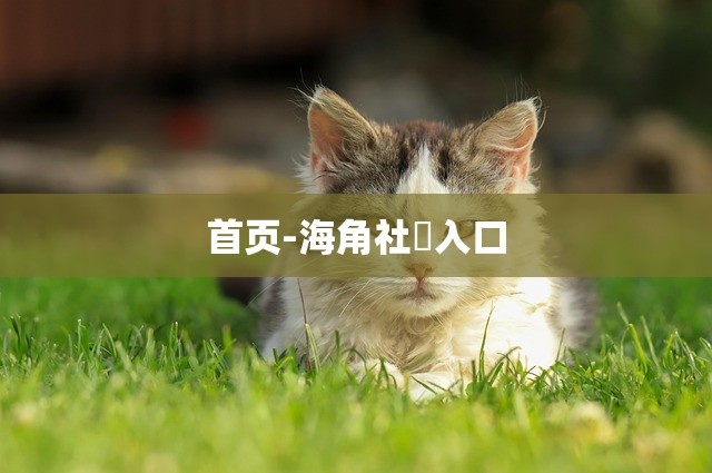 首页-海角社區入口