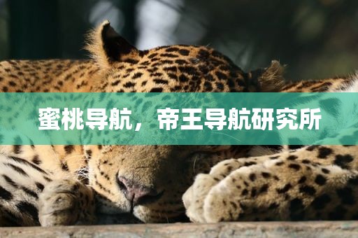 蜜桃导航，帝王导航研究所