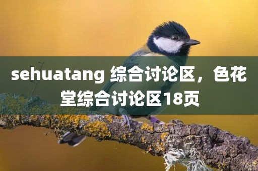 sehuatang 综合讨论区，色花堂综合讨论区18页