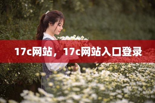 17c网站，17c网站入口登录