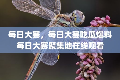 每日大赛，每日大赛吃瓜爆料每日大赛聚集地在线观看