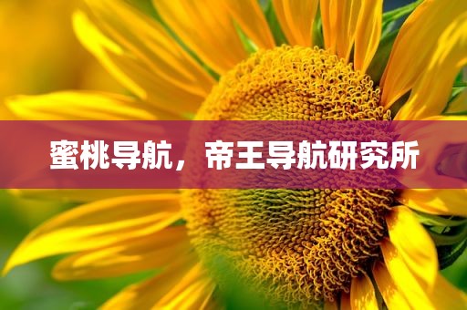 蜜桃导航，帝王导航研究所