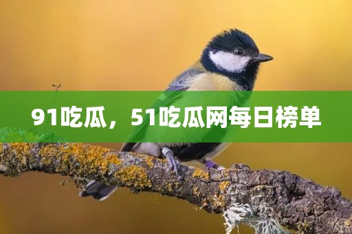 91吃瓜，51吃瓜网每日榜单
