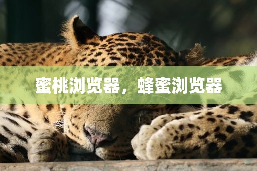 蜜桃浏览器，蜂蜜浏览器