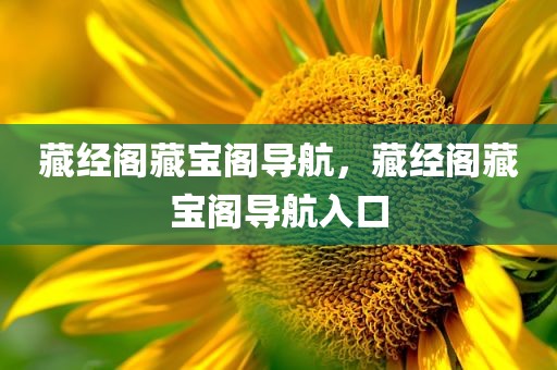 藏经阁藏宝阁导航，藏经阁藏宝阁导航入口