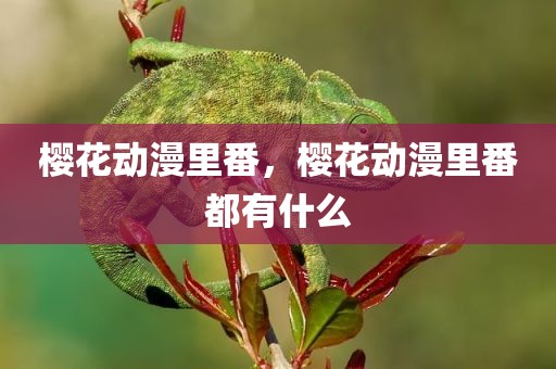 樱花动漫里番，樱花动漫里番都有什么